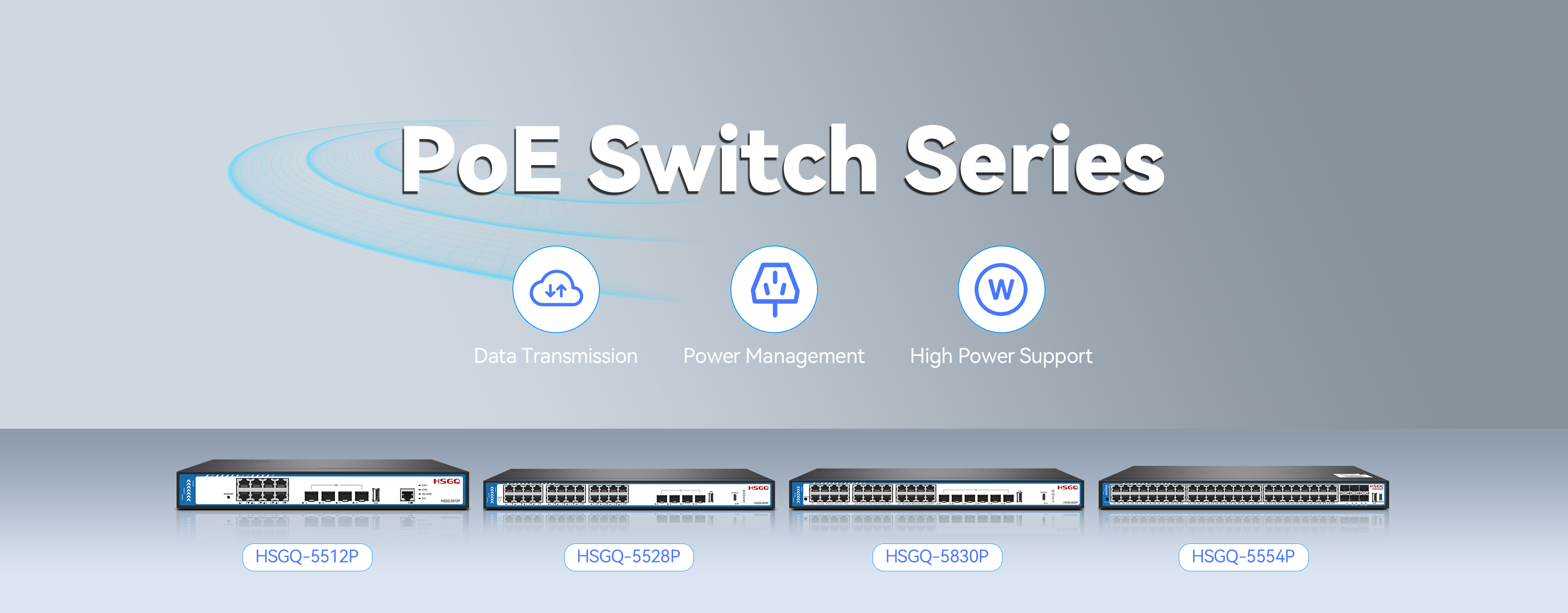 POE Switch