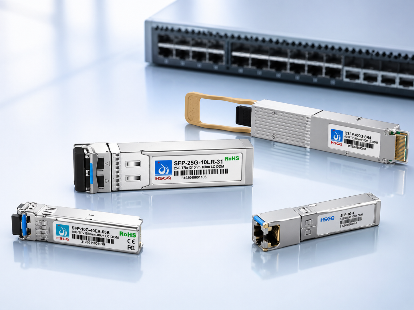 sfp (2)